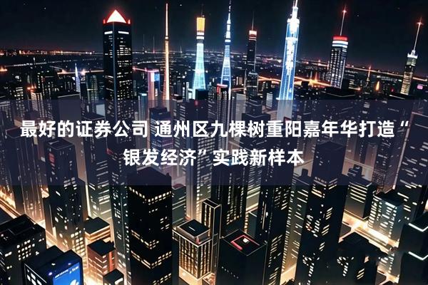 最好的证券公司 通州区九棵树重阳嘉年华打造“银发经济”实践新样本