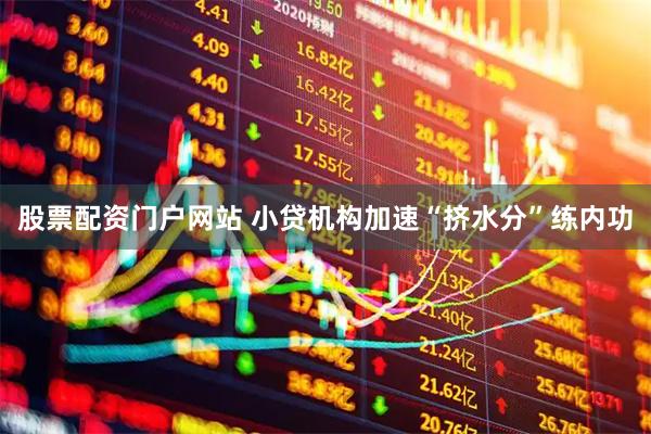股票配资门户网站 小贷机构加速“挤水分”练内功